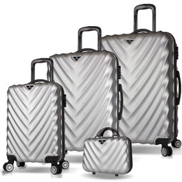 Zoozie Bags Juego de maletas de 4 piezas Gris